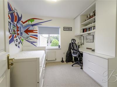 Picture 42